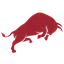 Bos Taurus