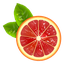 Red Wild Samara Lime
