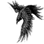creepy raven