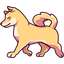YA SHIBA INY