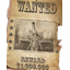 Scrap Metal Collectors