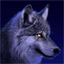 Siberian rabid wolves