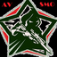 Association of Veterans of a Special military operation
