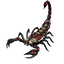 _BLACK_SCORPIONS_