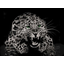 SNOW LEOPARD TEAM
