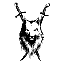 BLACK_WOLF_RUS