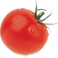 ToMaT Division