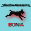 _Shadow Assassins_