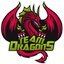 DRAGON ™TEAM✓