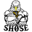 Shield of Steel Eagle
