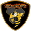 Steel_Hornets