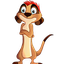 meerkats in life adequate