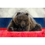 Bear Legion VDK