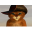 RUS_cats_silver