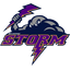 The STQRM Team