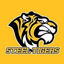 The Steel Tigers
