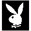 Fighting Hares