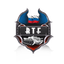 Броня ДВ