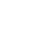 Player_91