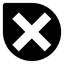 The XX