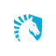 Team_liquid (герои нашего времени)