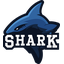 Aggressive sharks