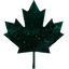 OPERATION BLACK ICE