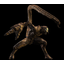 SCORP