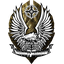 НОЧНОЙ ЯСТРЕБ