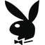 Brothers Rabits