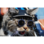 STEEL_CATS