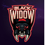 STEEL BLACK WIDOW