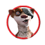 OPOSSUMS