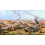 Tankers victories-1 division of shooting bushes