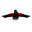 Clan logo