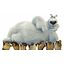 Fight Ice Bear