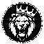 PRIDE Gaming team