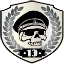 13-я дивизия