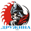 (ДРУЖИНА)