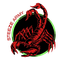 SKORpioN x2