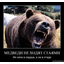 * RUSSIAN BEAR *