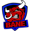HELL THE BULLS