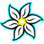 "EDELWEISS"